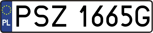 PSZ1665G