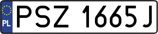 PSZ1665J