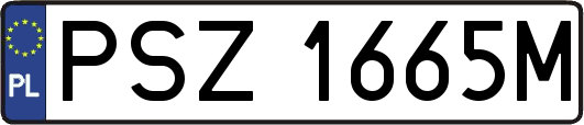 PSZ1665M