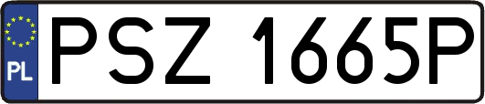 PSZ1665P