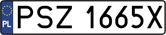 PSZ1665X