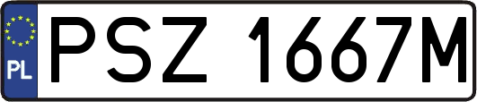 PSZ1667M