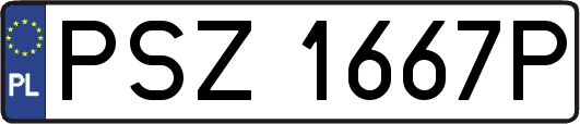 PSZ1667P