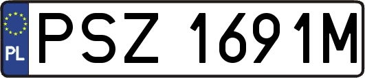 PSZ1691M