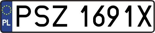 PSZ1691X