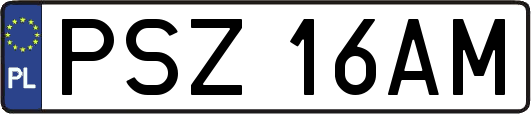 PSZ16AM