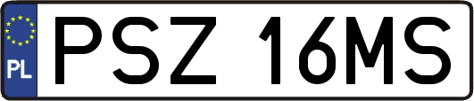 PSZ16MS