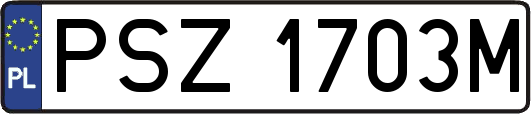 PSZ1703M