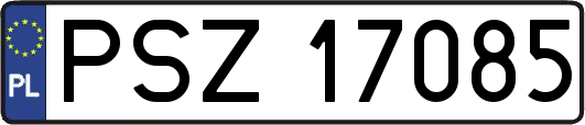 PSZ17085