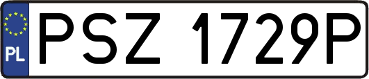 PSZ1729P
