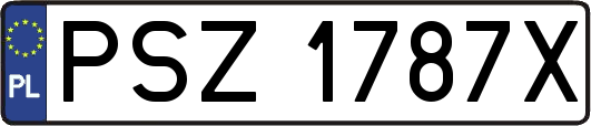 PSZ1787X