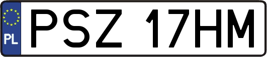 PSZ17HM