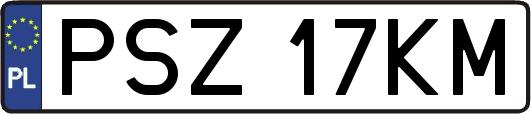 PSZ17KM