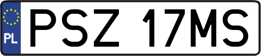 PSZ17MS