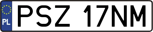 PSZ17NM