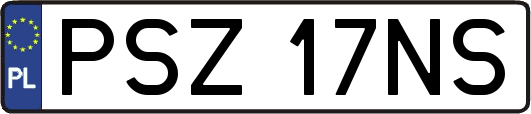 PSZ17NS