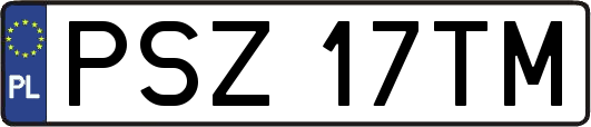 PSZ17TM