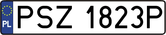 PSZ1823P