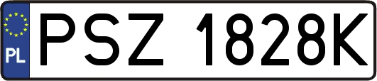 PSZ1828K