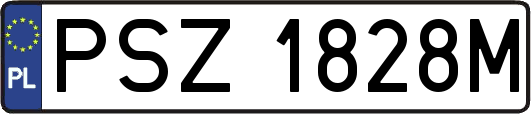 PSZ1828M