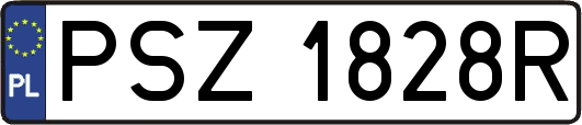 PSZ1828R