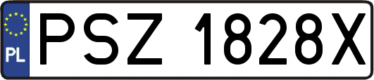 PSZ1828X