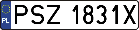PSZ1831X