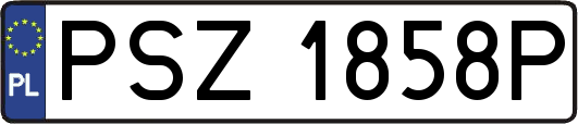 PSZ1858P
