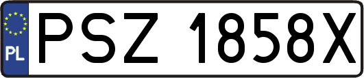 PSZ1858X
