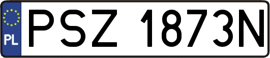 PSZ1873N