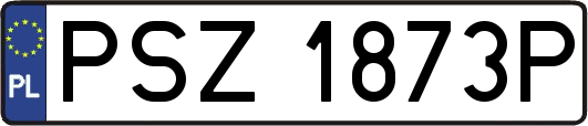 PSZ1873P