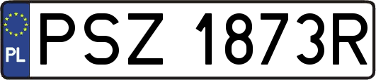 PSZ1873R