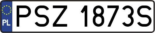 PSZ1873S