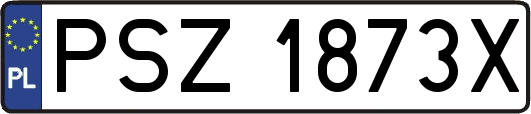 PSZ1873X