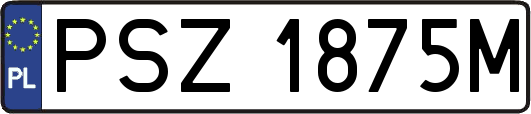 PSZ1875M