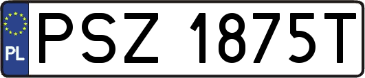 PSZ1875T