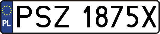 PSZ1875X