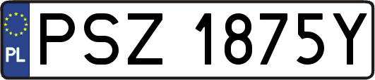 PSZ1875Y