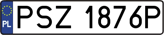 PSZ1876P