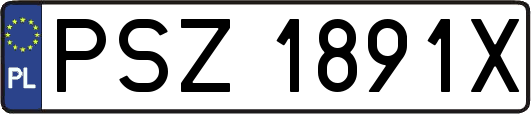 PSZ1891X