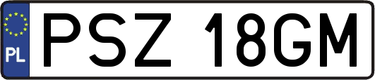 PSZ18GM