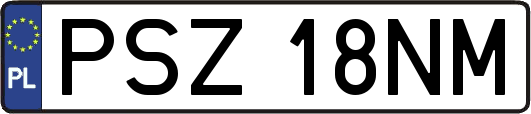 PSZ18NM