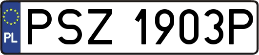 PSZ1903P