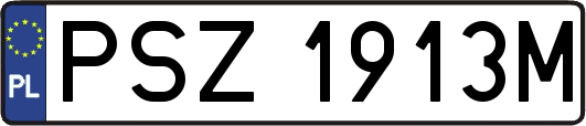 PSZ1913M
