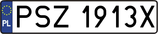 PSZ1913X