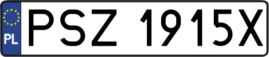 PSZ1915X