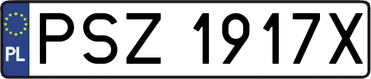 PSZ1917X
