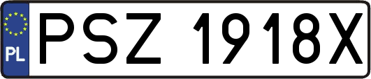 PSZ1918X