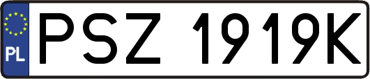 PSZ1919K