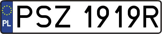 PSZ1919R